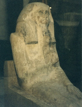DJOSER